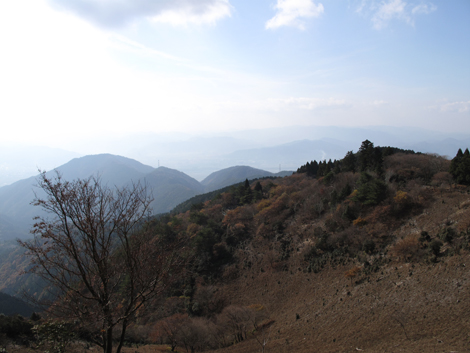 20131124hike (310)